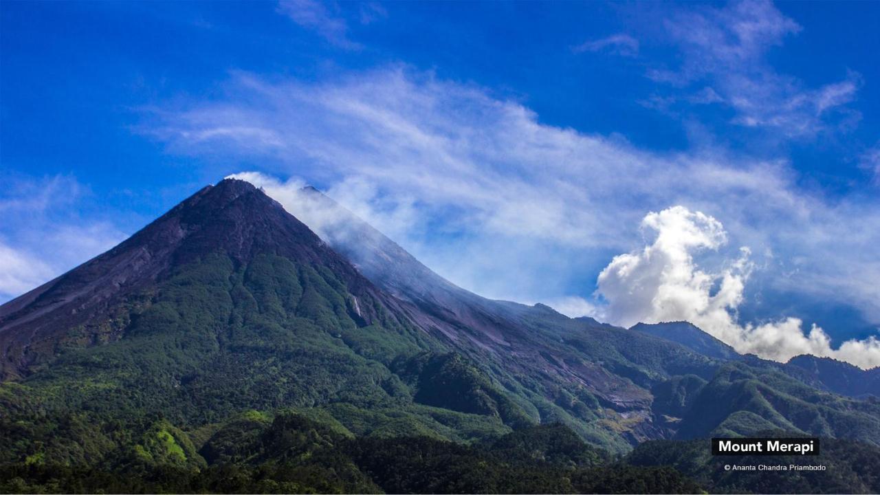 Albergue Kolo Kolo Kejayan Exterior foto